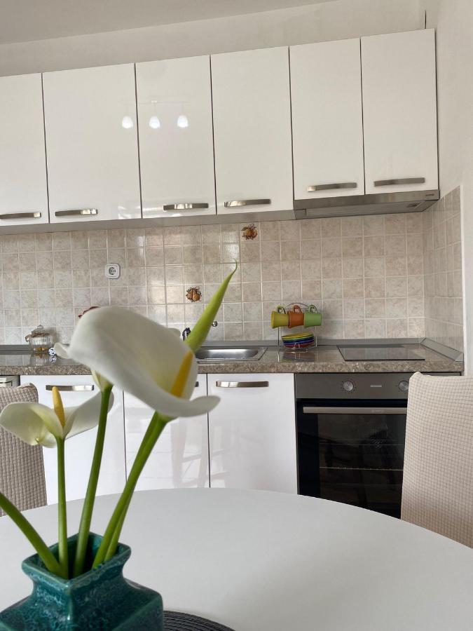 Studio Apartment Novak Čilipi المظهر الخارجي الصورة